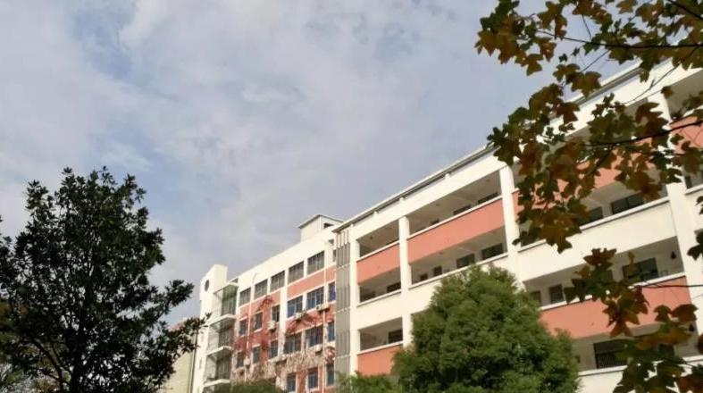 2023儋州丹阳学校招生计划 招生人数是多少(附要求、条件、对象)