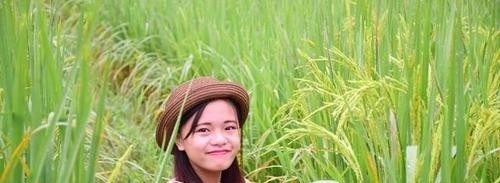 广西生态工程职业技术学院单招2019年单独招生成绩查询、入口