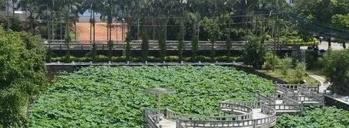 广西农业职业技术学院单招2019年单独招生报名条件、招生要求、招生对象