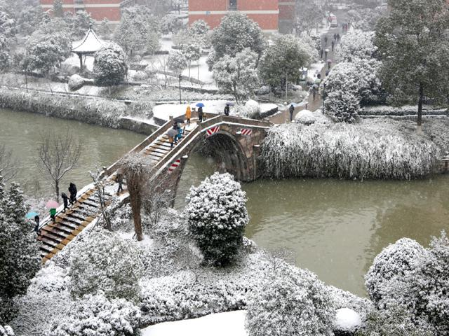 校园风景（五）