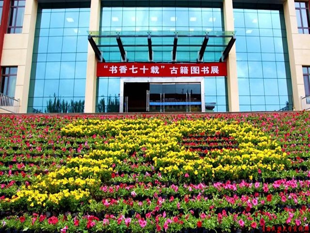 校园风采（一）