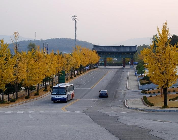 大真大学