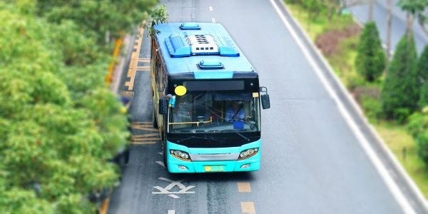 厦门早稻田培训校区地址是什么
