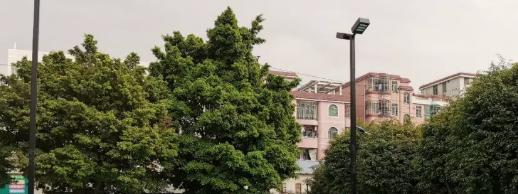 广州文冲船厂技工学校2020年招生办