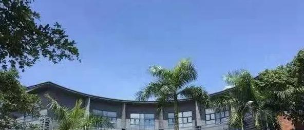 深圳深美国际学校2023年报名时间2