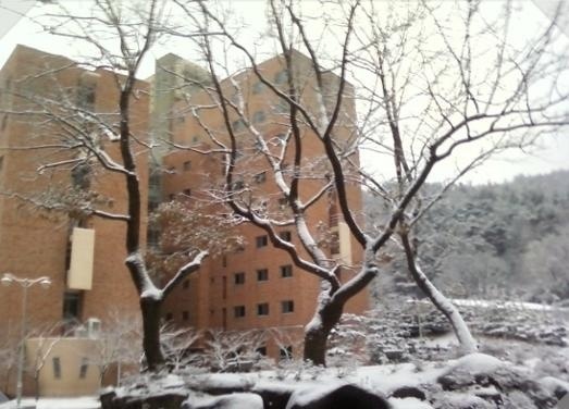 东新大学