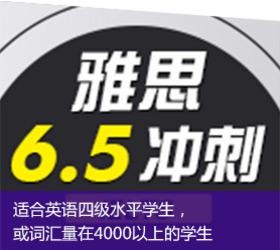 6.5分冲刺课程