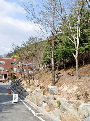 岭南外国语大学