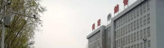 保定幼儿师范高等专科学校单招