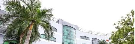 深圳石岩公学学校国际部小学2023年入学考试