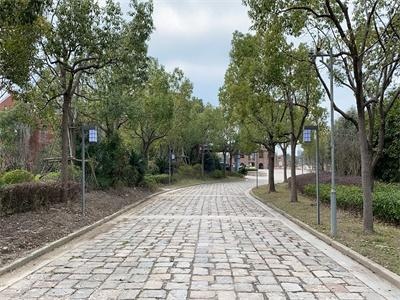 剑桥文理与剑桥艺术学校