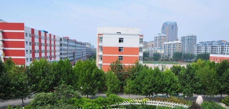 长垣烹饪职业技术学院单招成绩查询时间