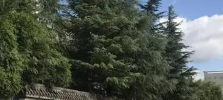 遂宁应用高级技工学校