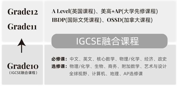 上海美达菲学校课程设置.jpg