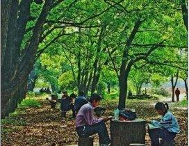 武汉求精外语培训学校