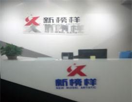 陕西新榜样IT