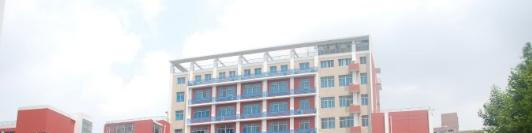 澳大利亚艾文豪精英学校(上海校区)小学部2020年报名条件、招生要求、招生对象