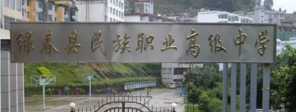绿春县民族职业高级中学2021年录取分数线