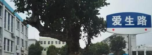 湛江南大理工职业技术学校