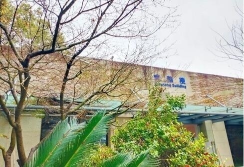 上海常青藤学校