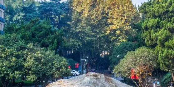 2023河海大学学科评估结果最新公布