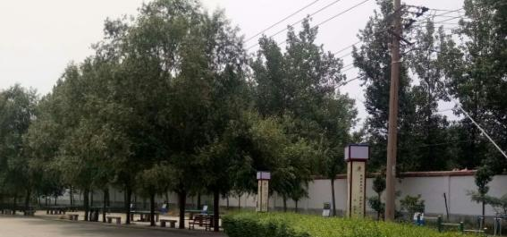 洛阳中医药学校