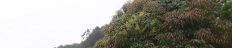 百色右江区职业技术学校怎么样、好不好