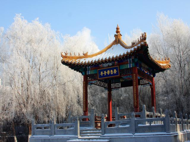 校园风采（三）