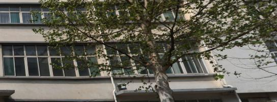 山东昌乐技师学院2022年地址在哪里