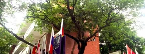 广州仲元中学国际班2022年课程体系