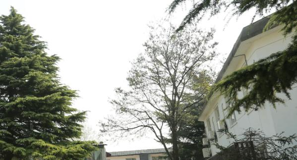 2023年西安市明珠职业学校学费、收费多少