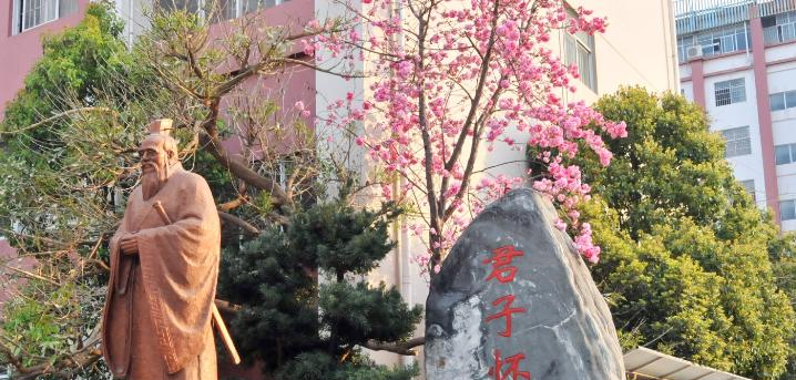 截图_20211116125444