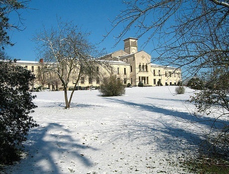 波尔多大学