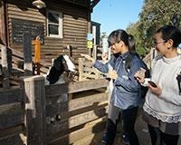 前往澳洲八大名校之一昆士兰大学走访参观