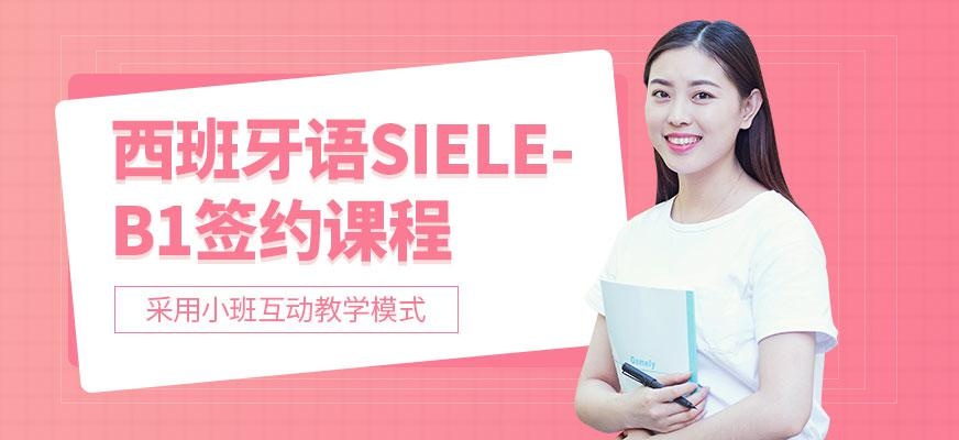 西语SIELE-B1签约班