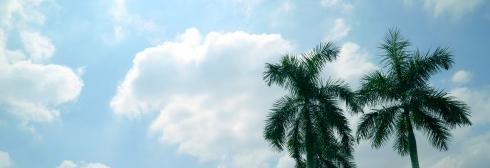 东莞文盛国际学校初中部