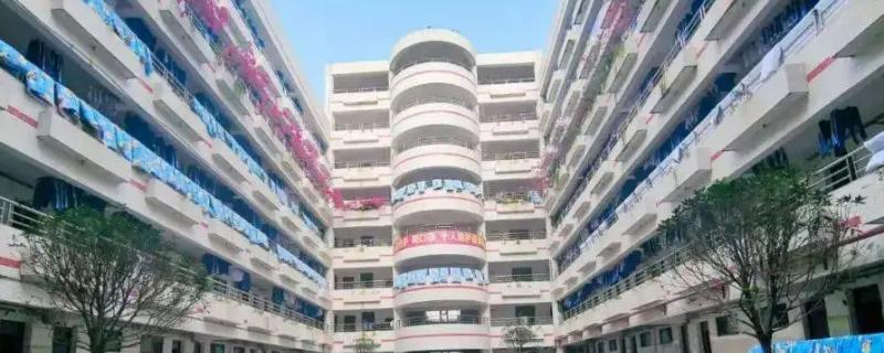 深圳东方英文书院国际小学2023年课程体系2