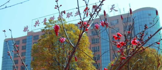 共青科技职业学院2020年有哪些专业