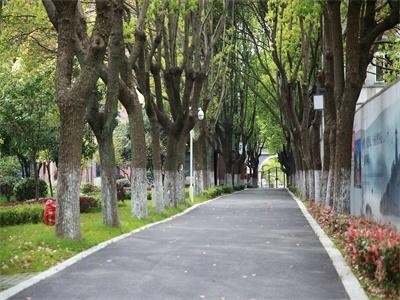 苏州阿德科特学校