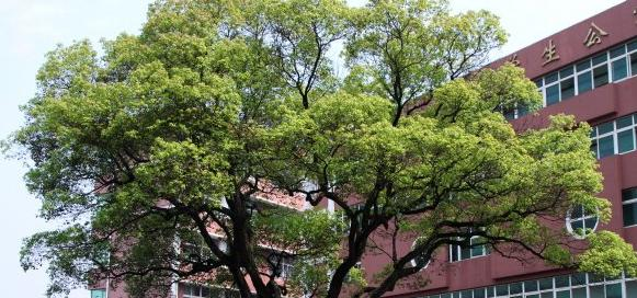 南昌汽车机电学校