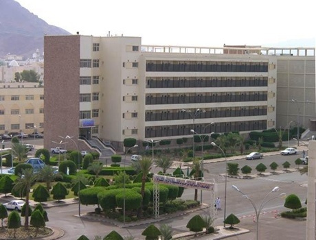 麦地那国际大学