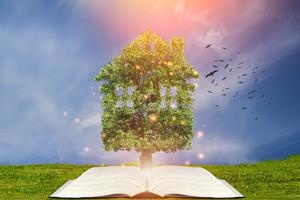 江西财经大学在职研究生证书认可度高吗