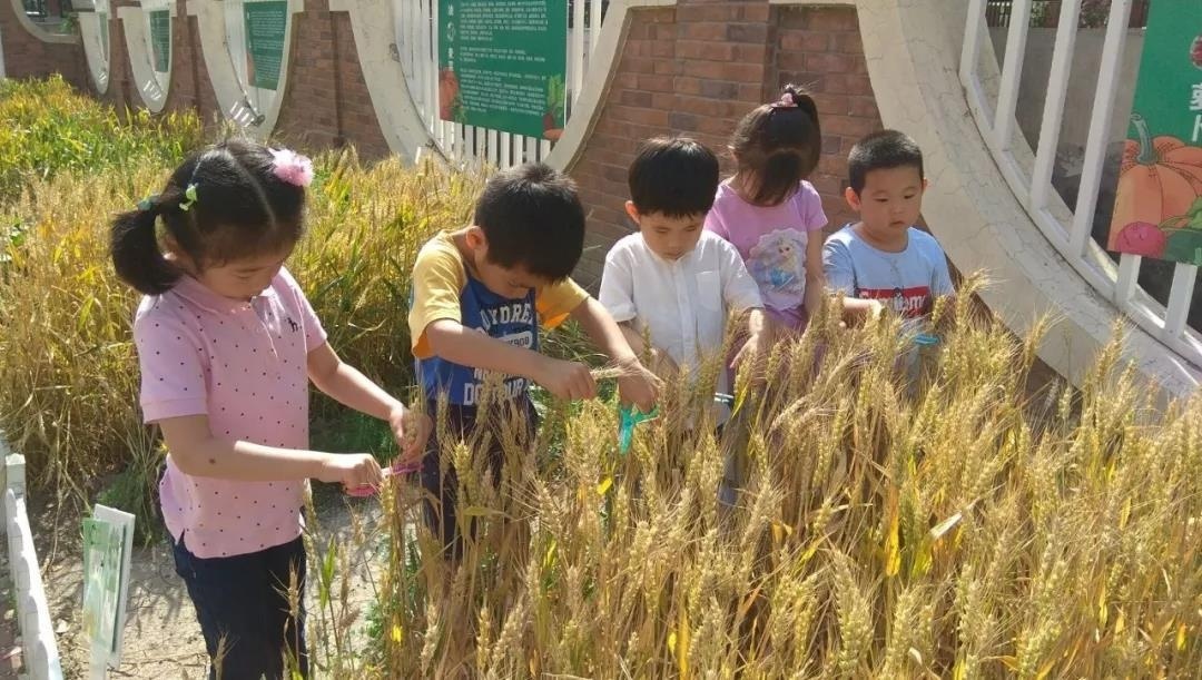 艾毅幼儿园