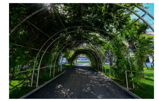 北京市朝阳区赫德学校