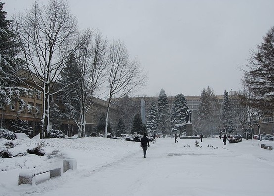 居里夫人大学