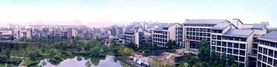 重庆理工大学是不是双大学？