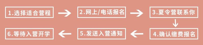 夏令营报名流程