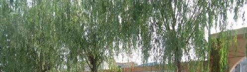 石家庄饮食集团公司技工学校