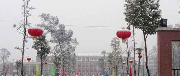 都江堰中学网站 