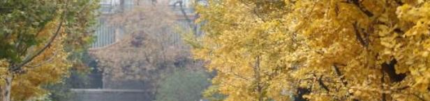 北京八一学校国际部